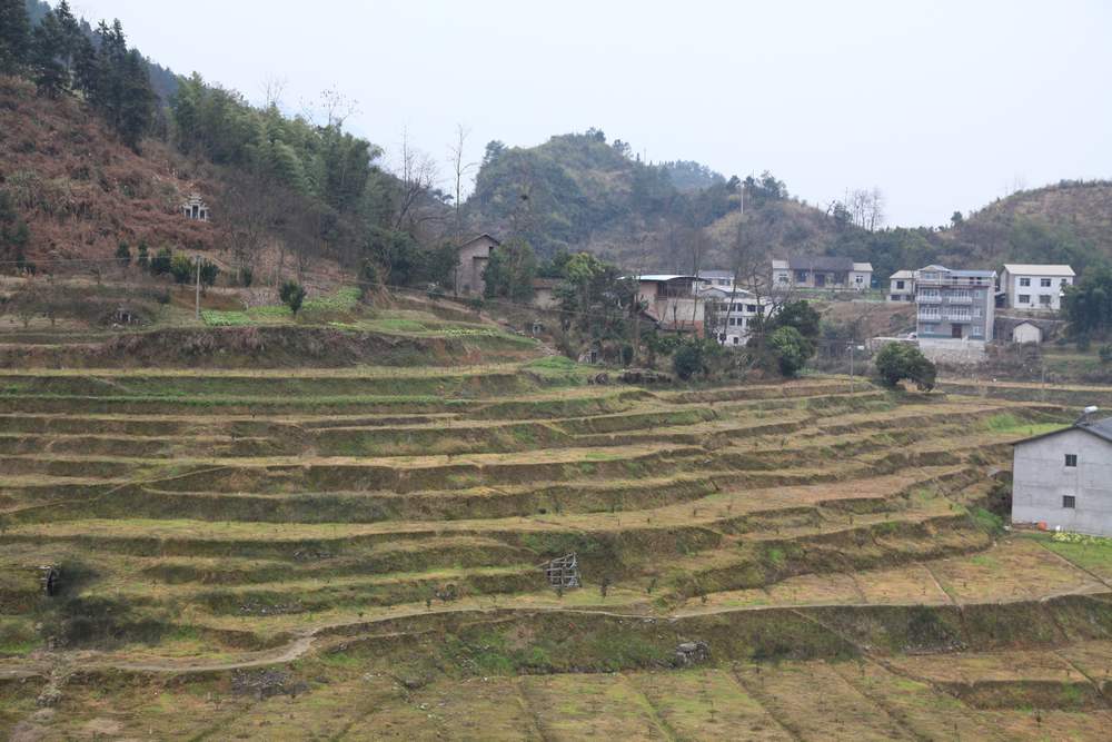 张家界和，天门山，凤凰古城 1271.jpg