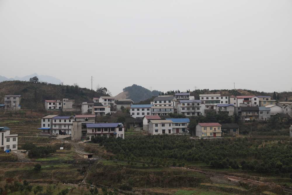 张家界和，天门山，凤凰古城 1277.jpg