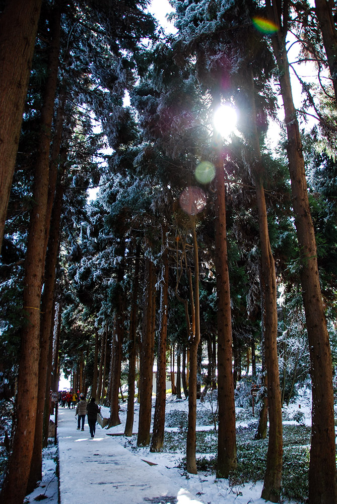 DSC_6540 副本.jpg