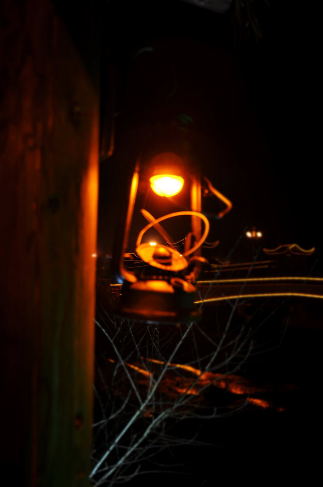 DSC_0305.JPG