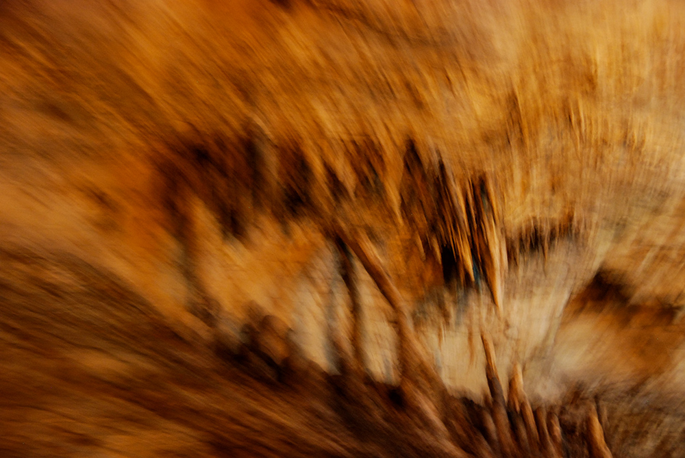 DSC_6694 副本.jpg