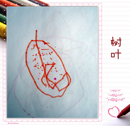DSCN9532.JPG
