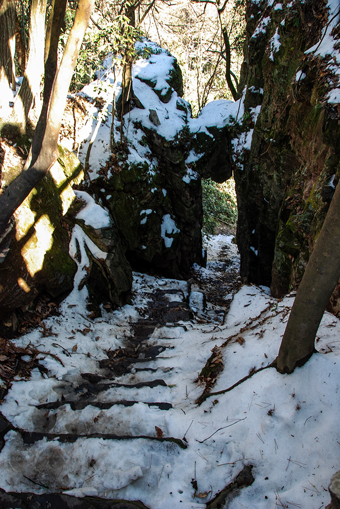 DSC_6894 副本.jpg