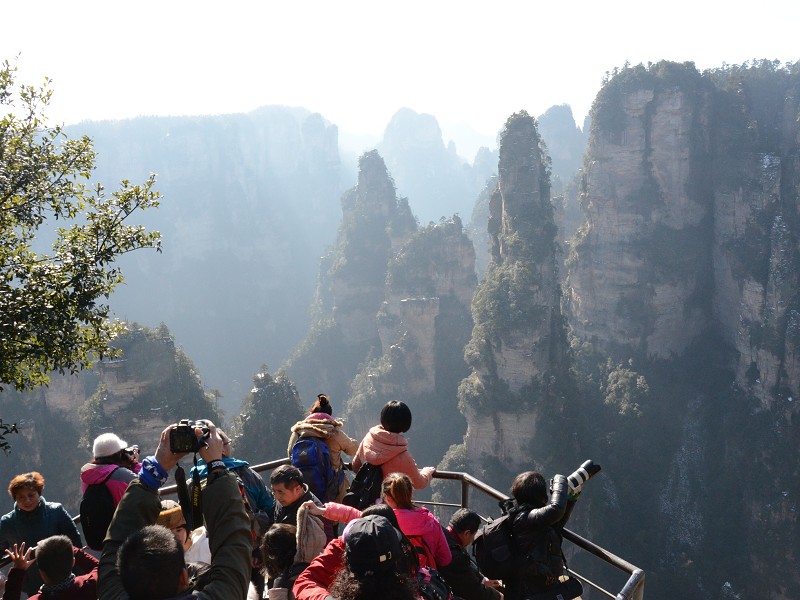 PhotoCap_444.jpg
