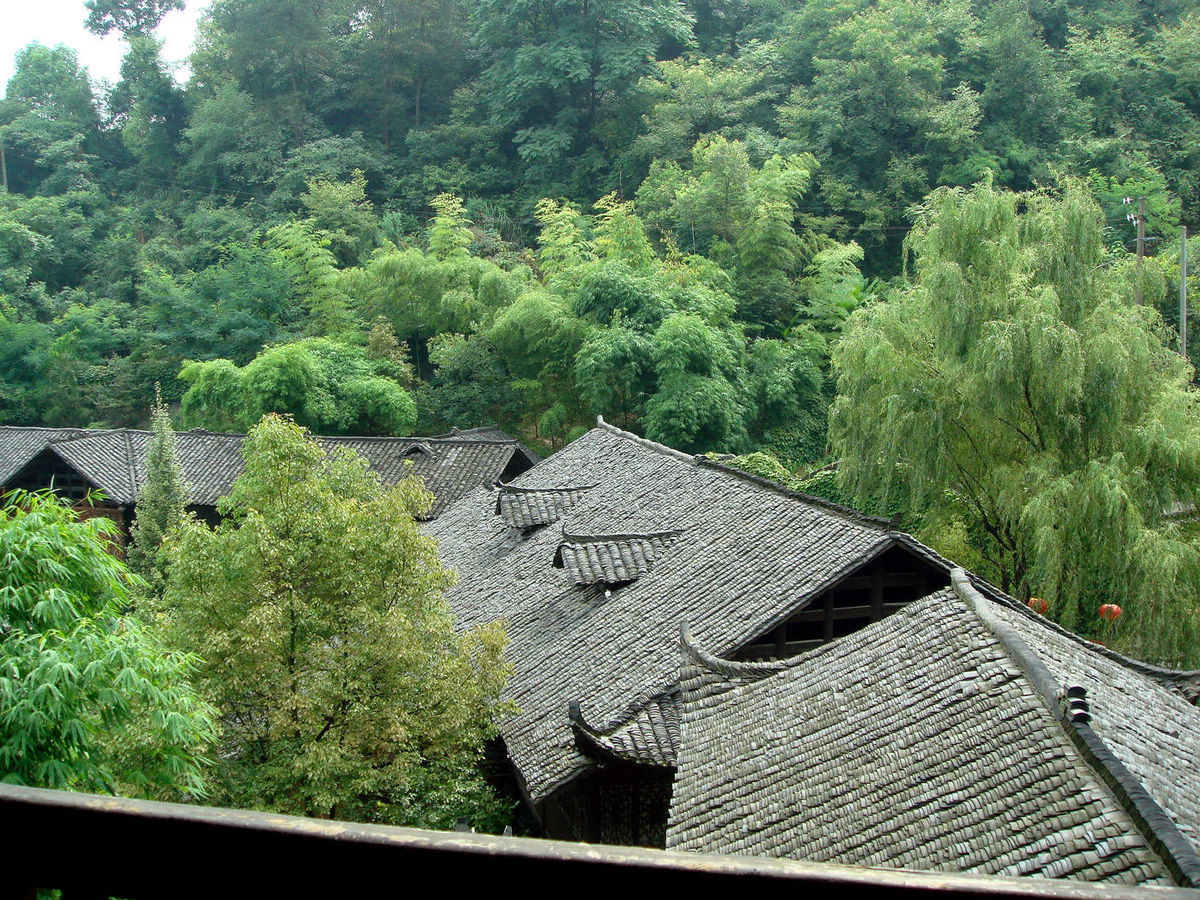 nEO_IMG_DSC08830.jpg