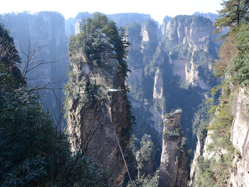 PhotoCap_451.jpg