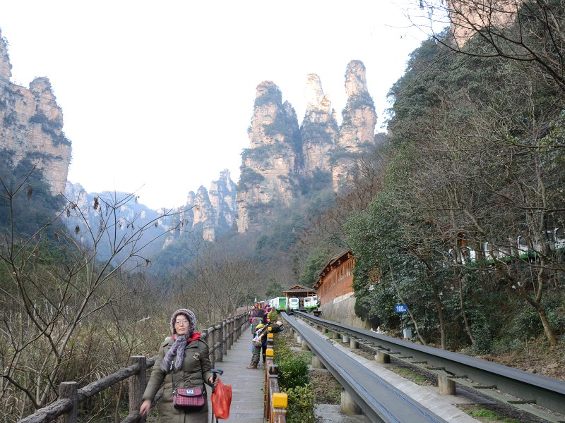 PhotoCap_654.jpg