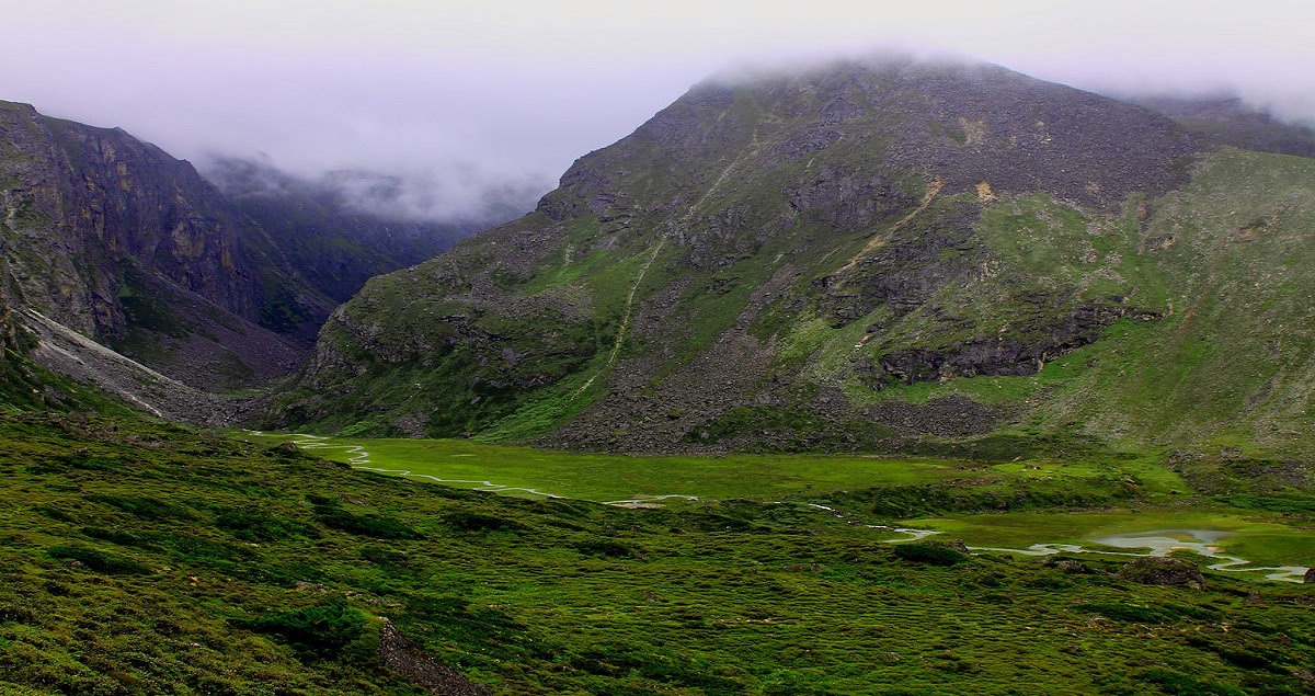 IMG_0307.jpg