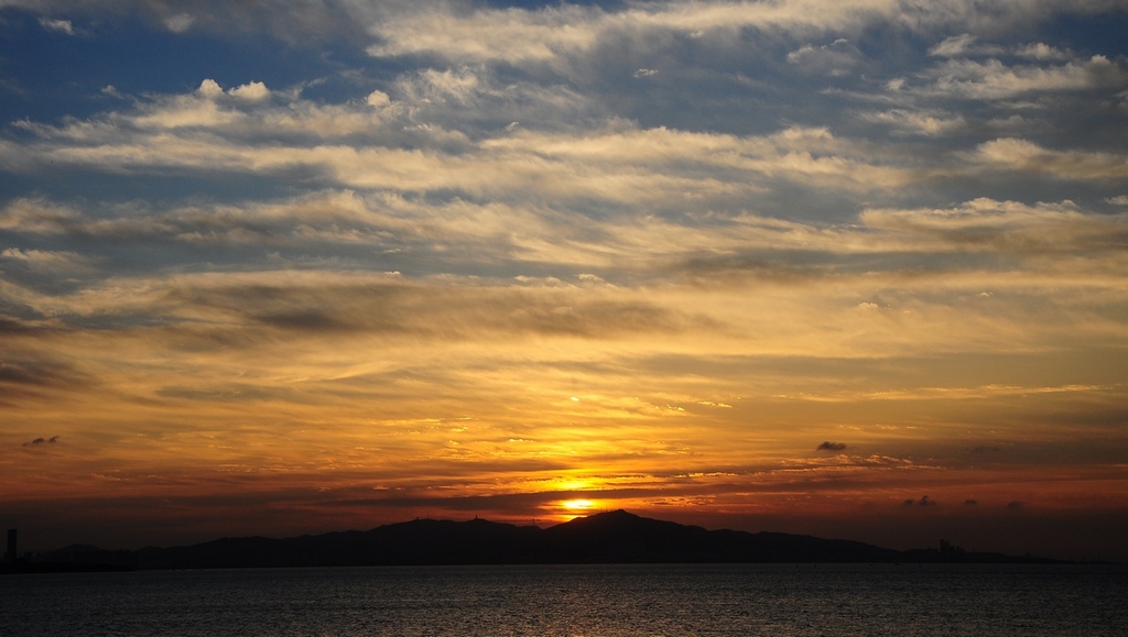 1301091500f42e796e91e67b39[1].jpg