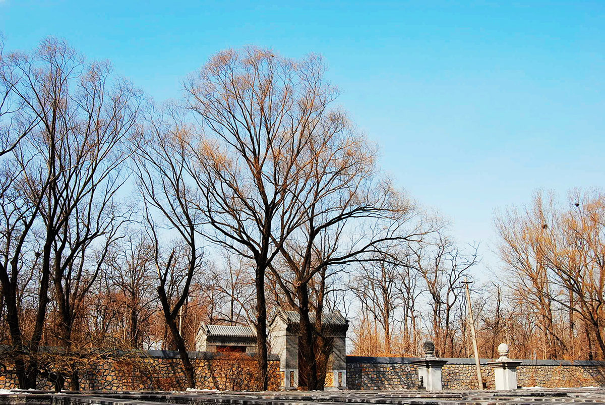 DSC_1780 副本.jpg
