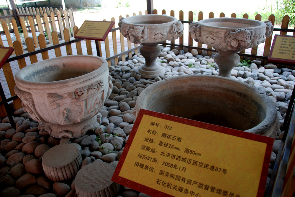 DSC_6510 副本.jpg