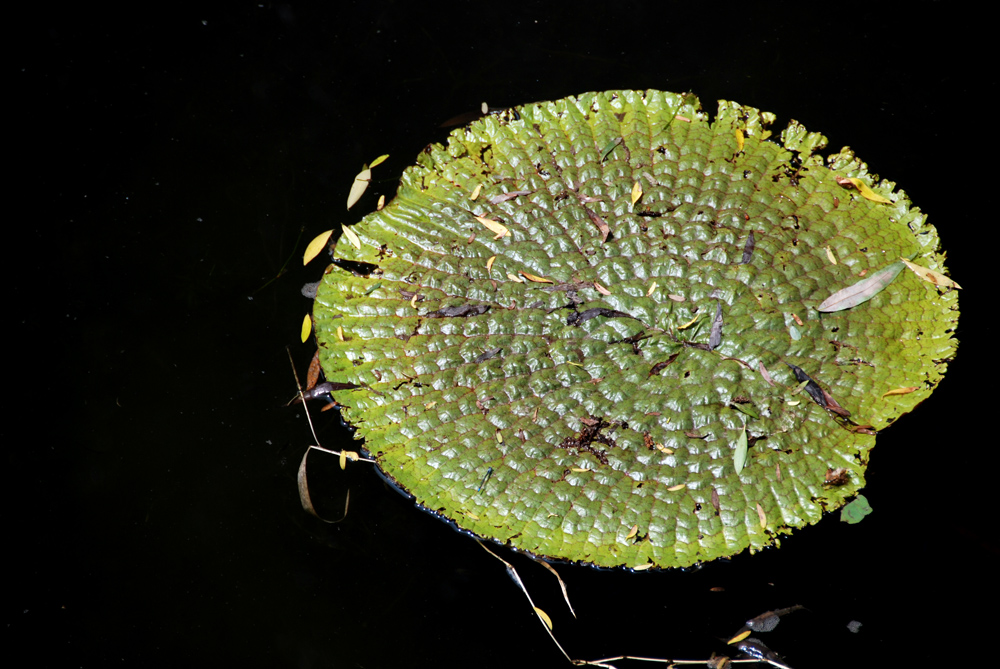 DSC_6517 副本.jpg