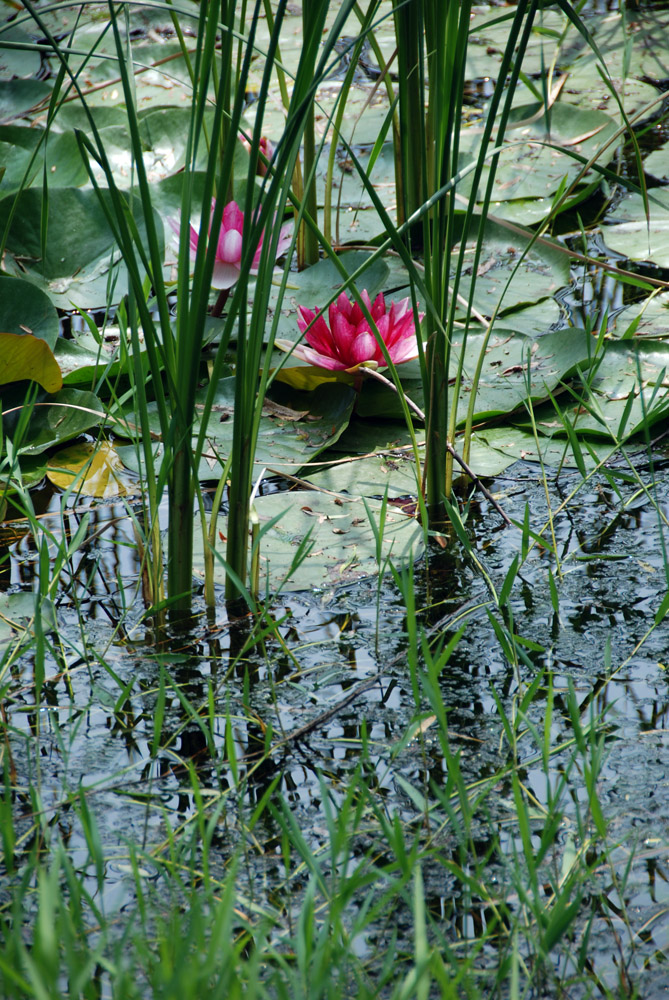 DSC_6548 副本.jpg