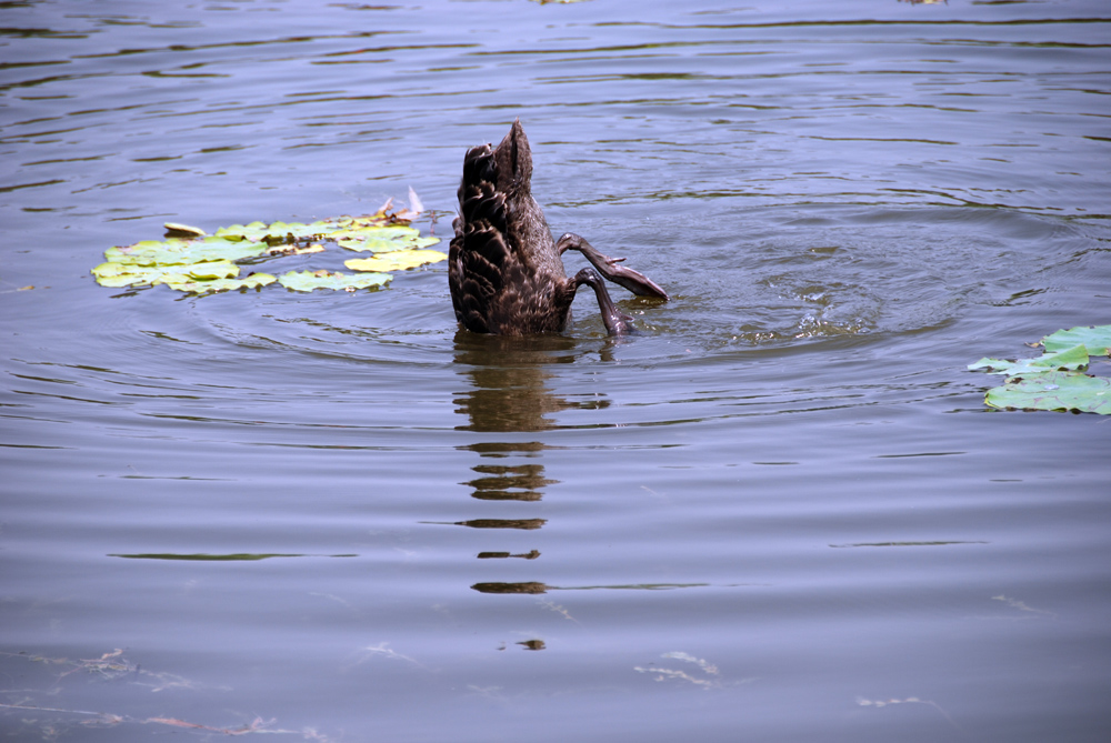 DSC_6637 副本.jpg