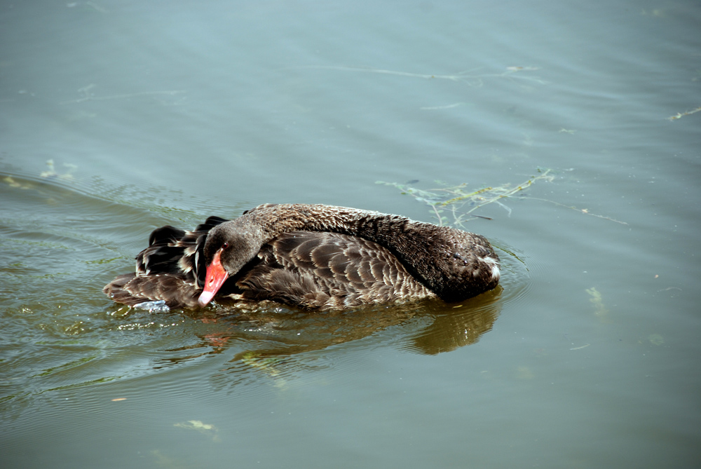 DSC_6651 副本.JPG