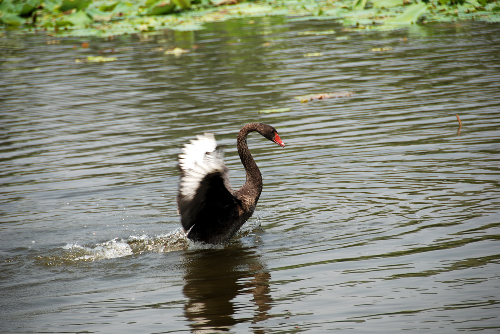 DSC_6650 副本.JPG