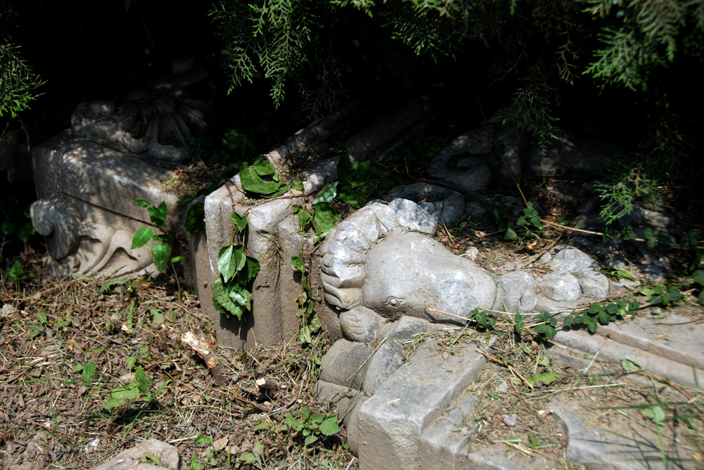 DSC_6681 副本.jpg