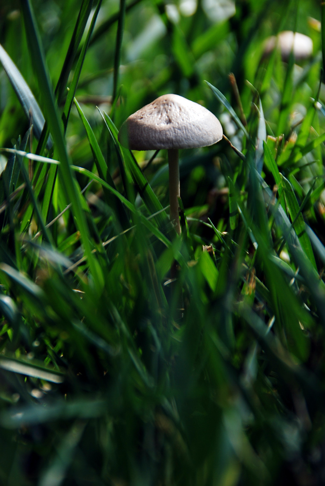 DSC_6720 副本.jpg