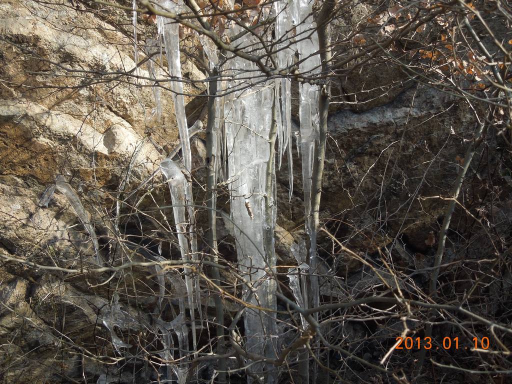 DSCN7101.jpg