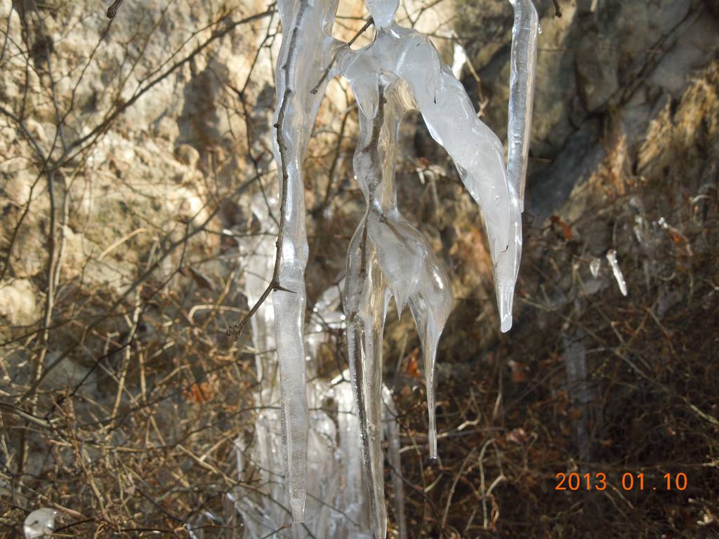 DSCN7100.jpg
