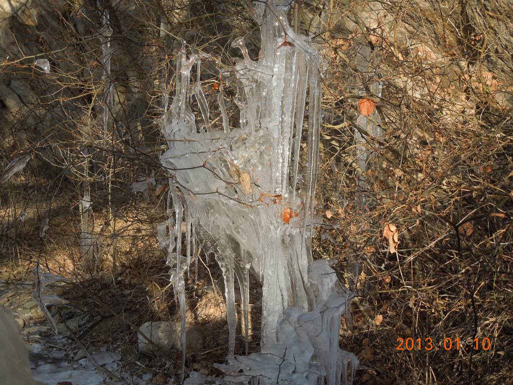 DSCN7118.jpg
