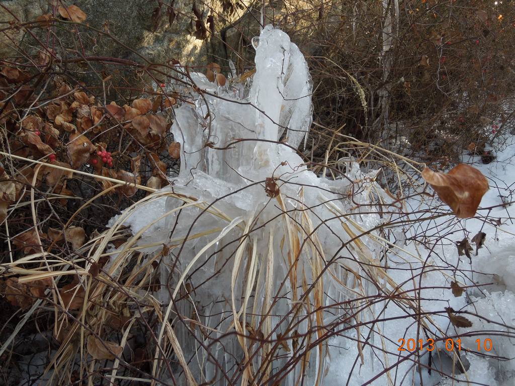 DSCN7127.jpg