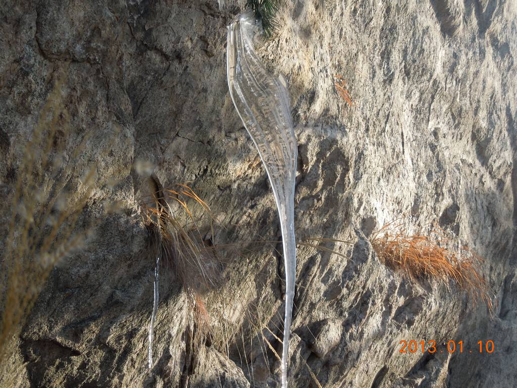 DSCN7124.jpg