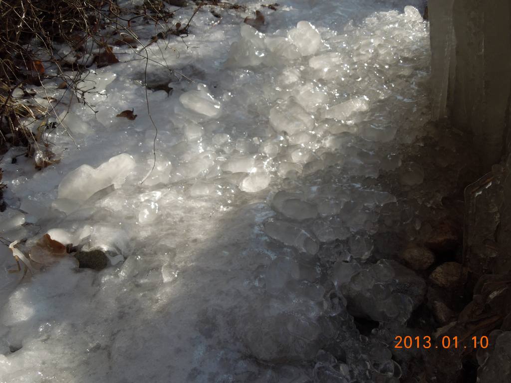 DSCN7117.jpg