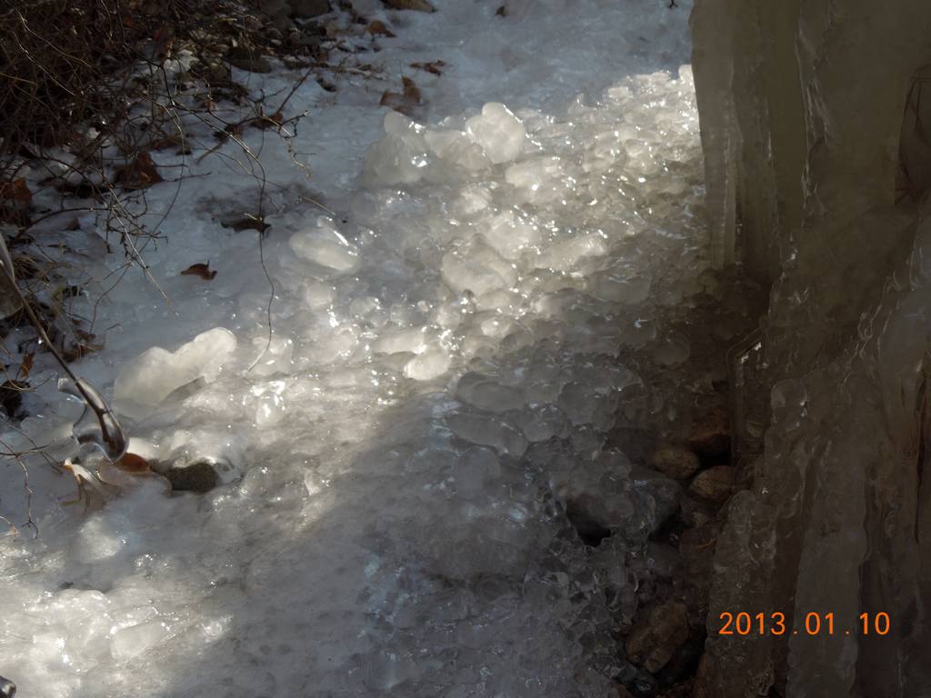 DSCN7112.jpg