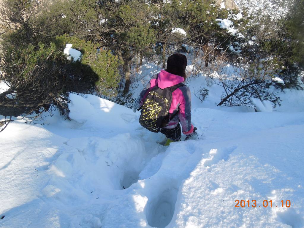 DSCN7317.jpg