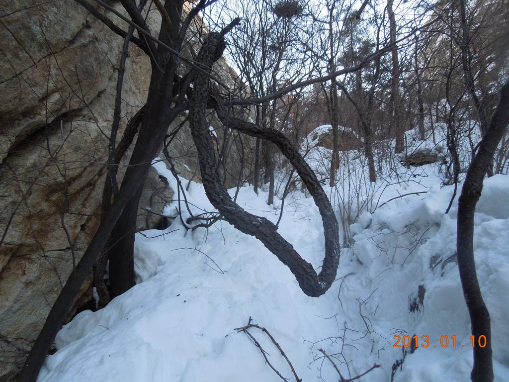 DSCN7353.jpg