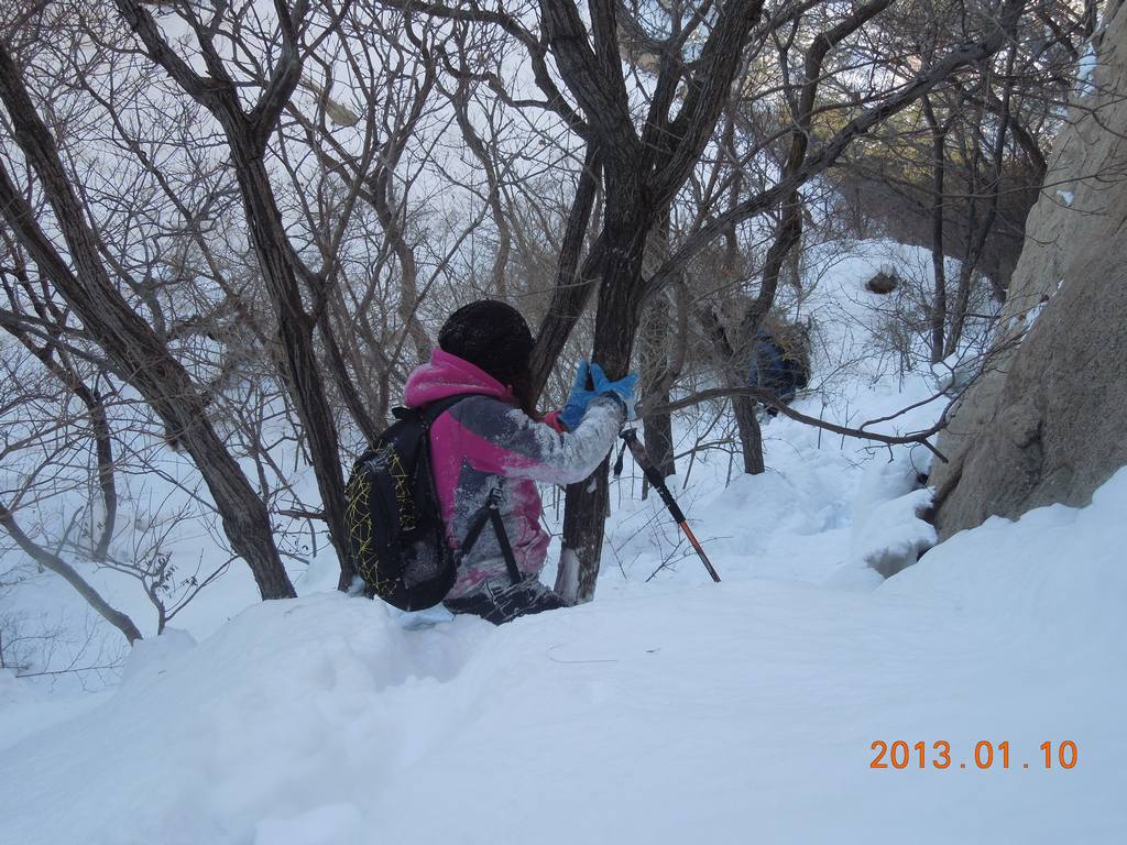 DSCN7373.jpg