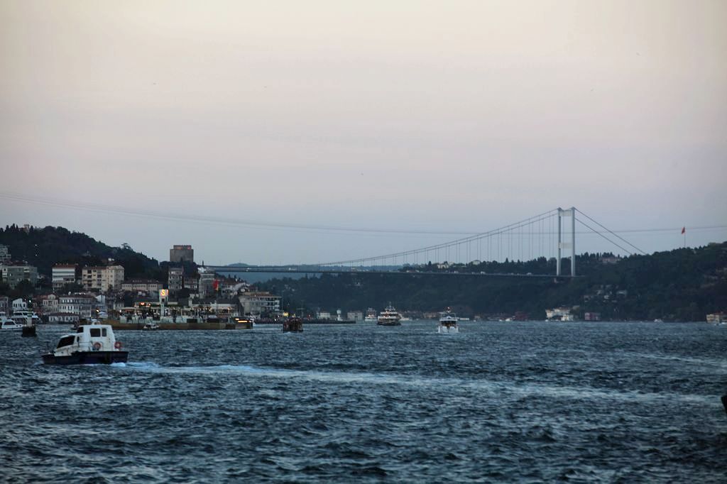 nEO_IMG_IMG_1966.jpg