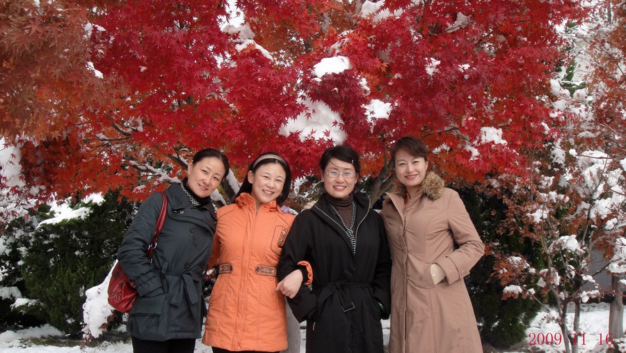 nEO_IMG_2009年11月鲁东大学赏雪4.jpg
