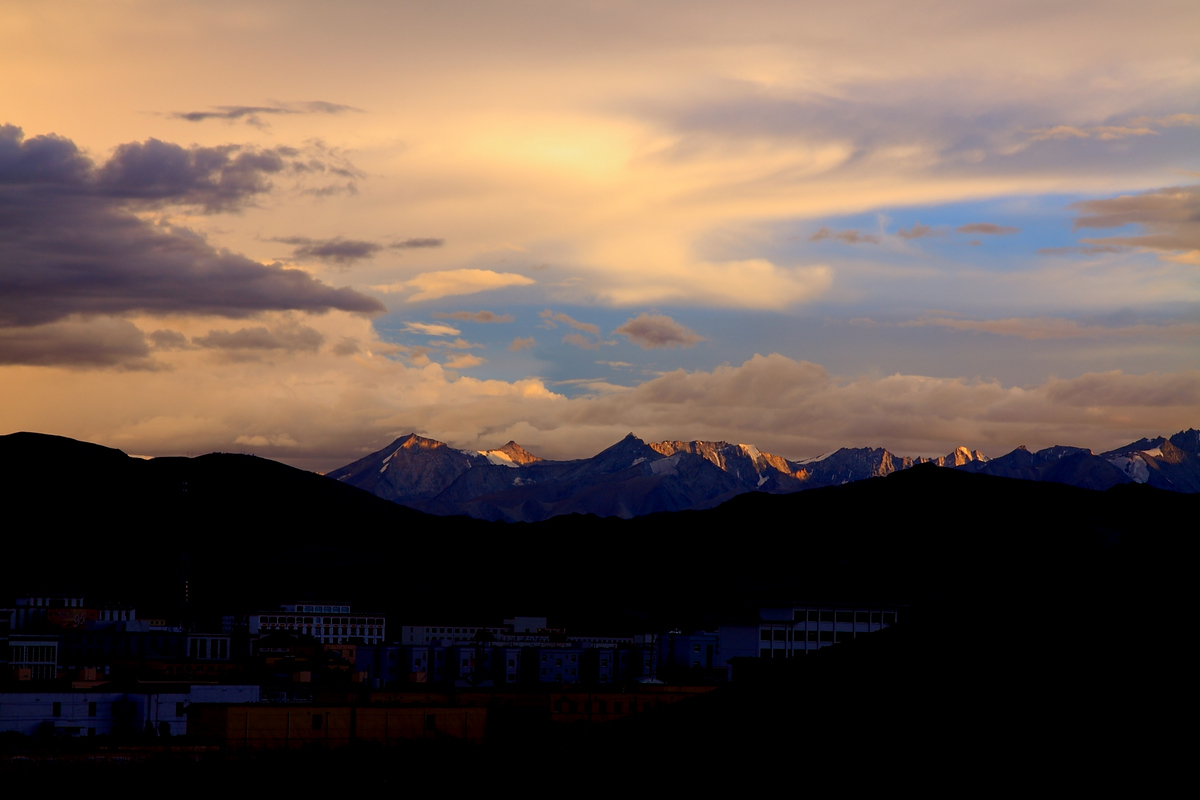 IMG_2378.jpg
