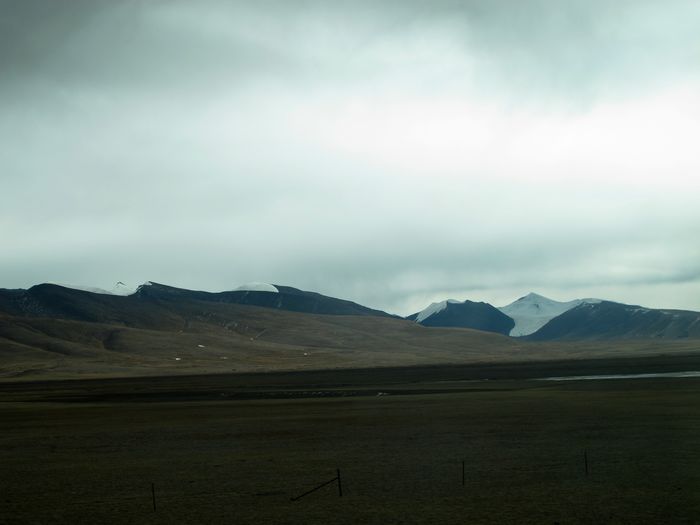 IMG_0780.jpg