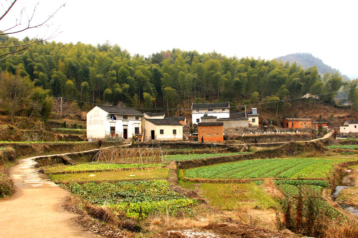 2012春节安徽行 1009.jpg