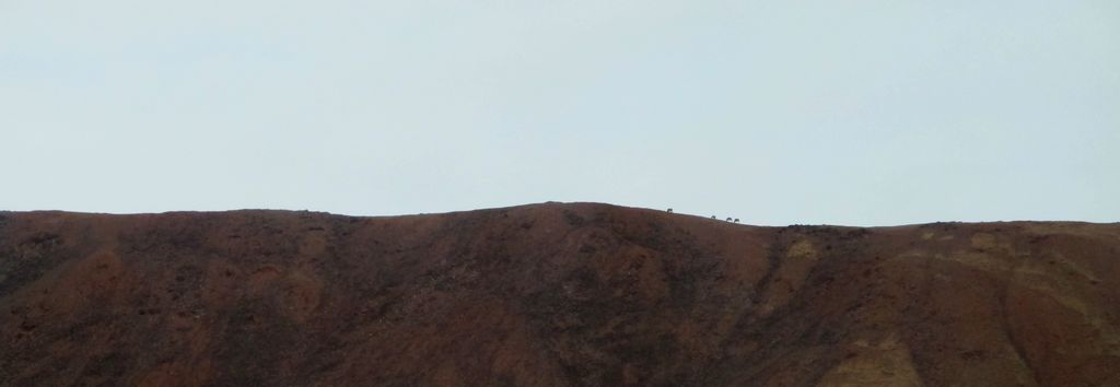 IMG_0770.jpg