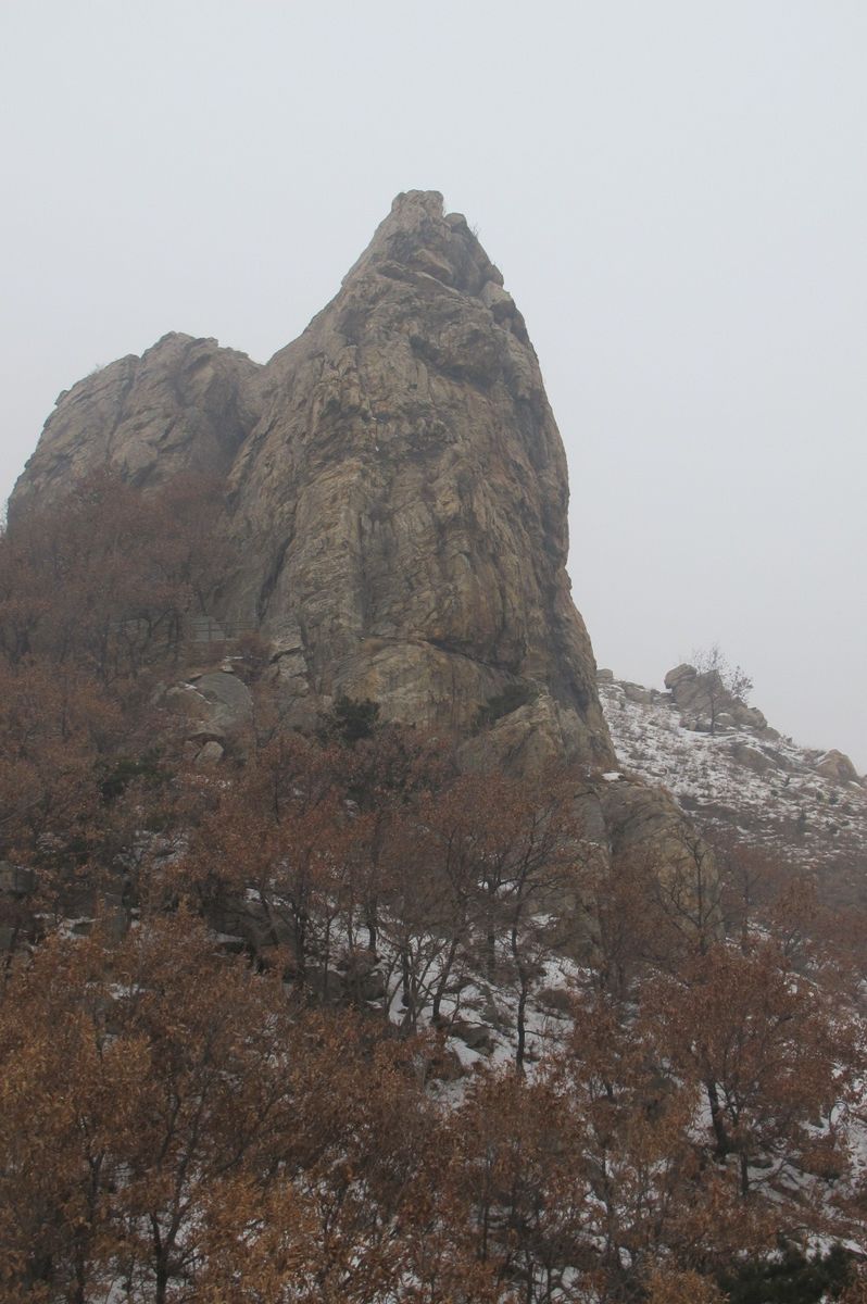 IMG_4737.JPG