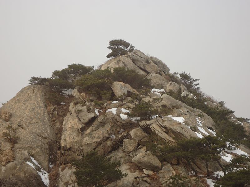 DSC09690.jpg