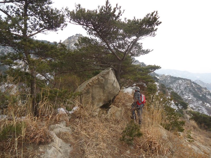 DSC09718.jpg