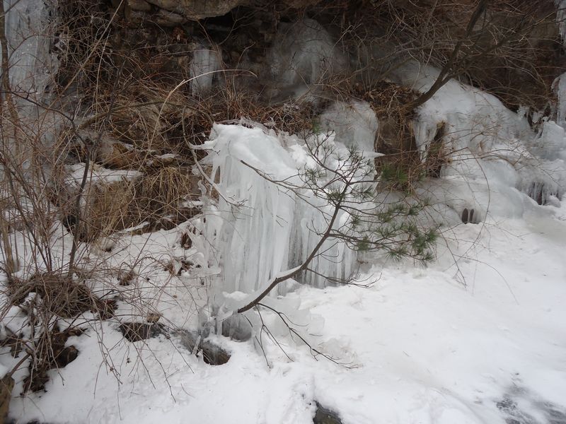 DSC09788.jpg