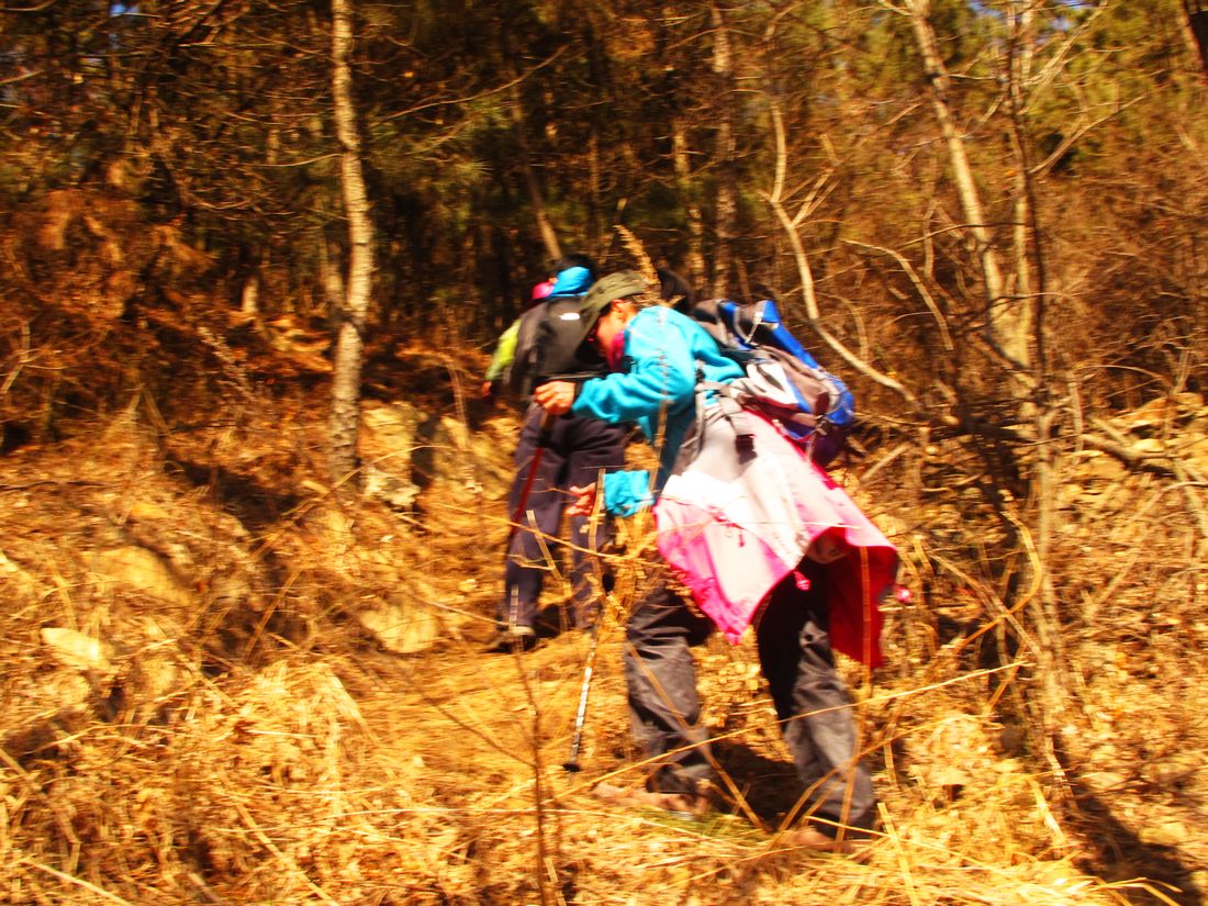 nEO_IMG_2013-2-23徒步 034.jpg