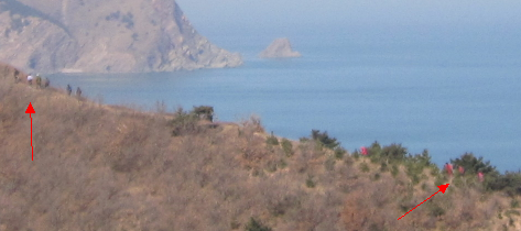 QQ截图20130223205005.png