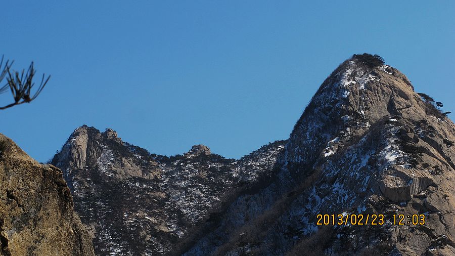 IMG_2703.jpg