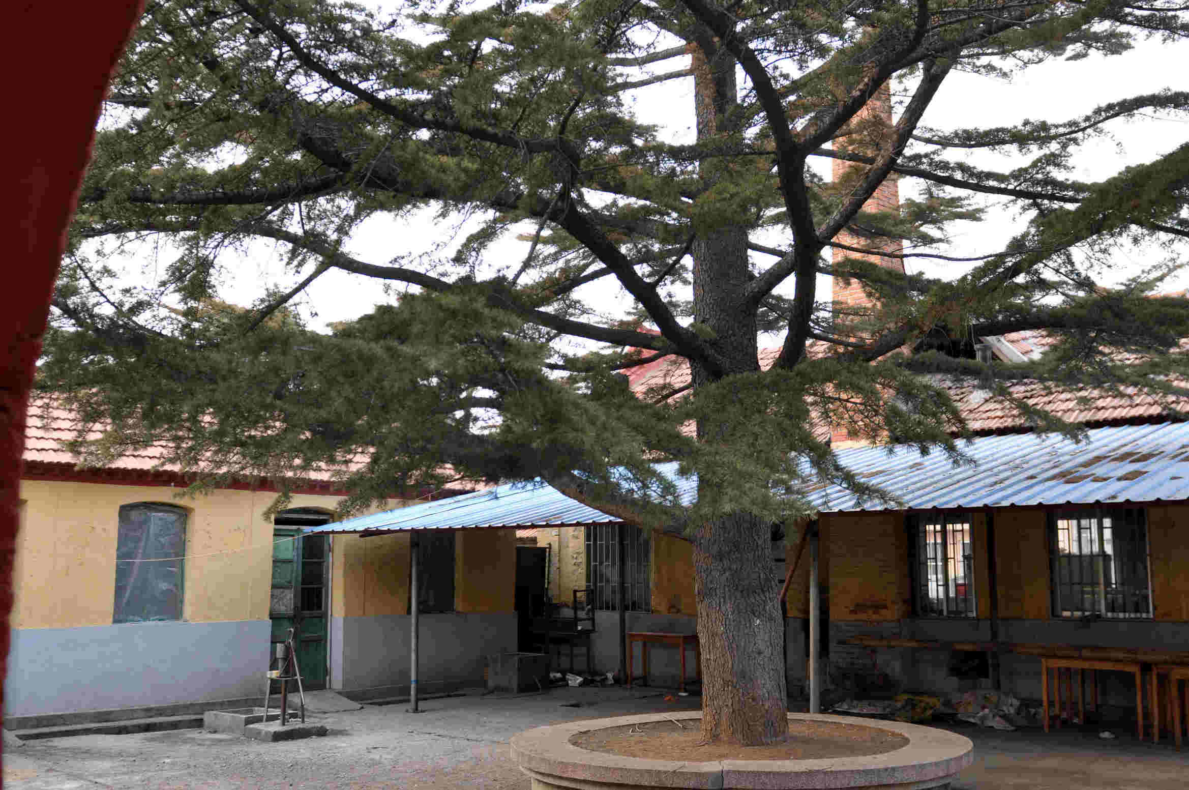 学校旧颜新貌 028.jpg