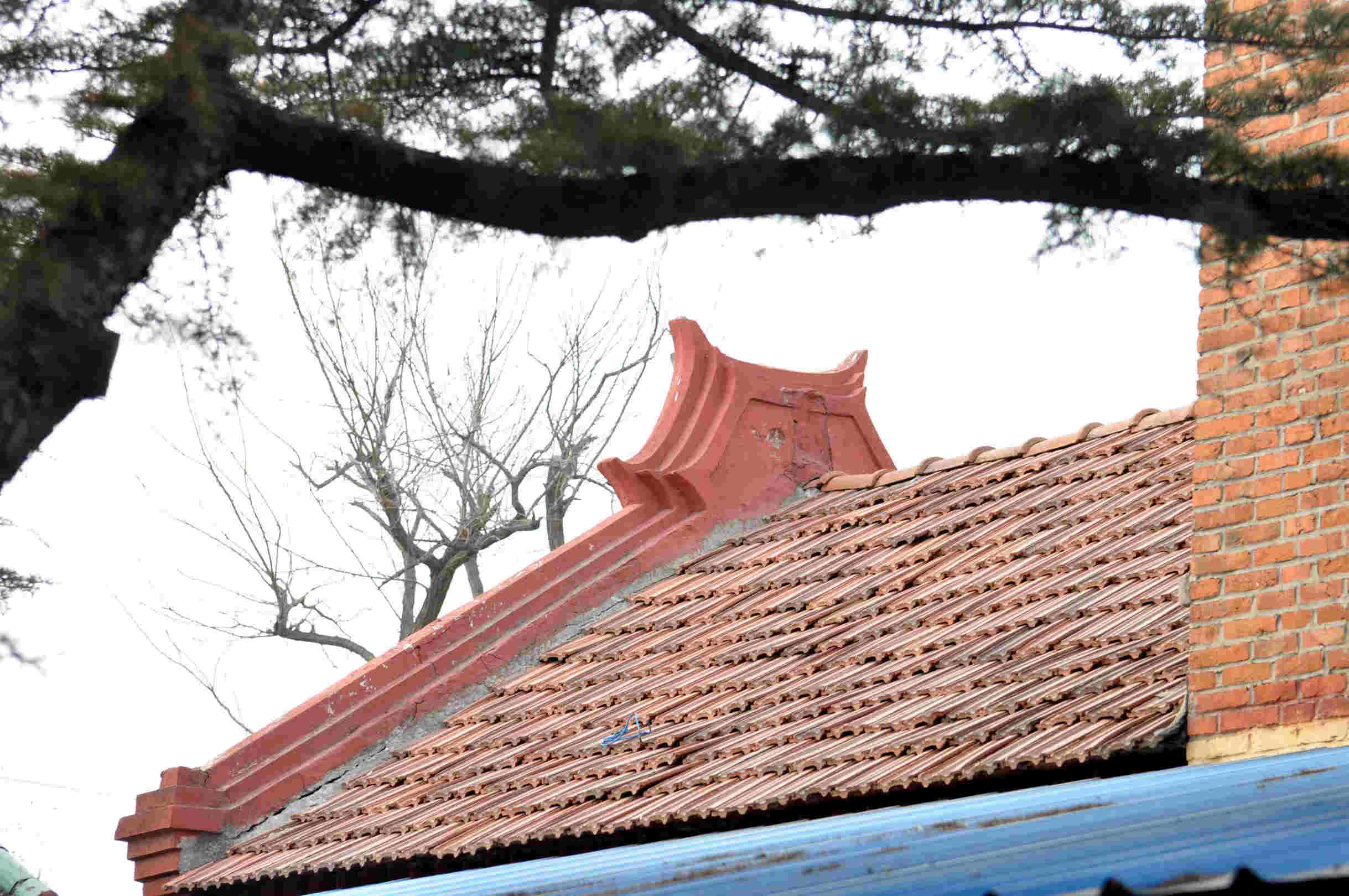 学校旧颜新貌 030.jpg
