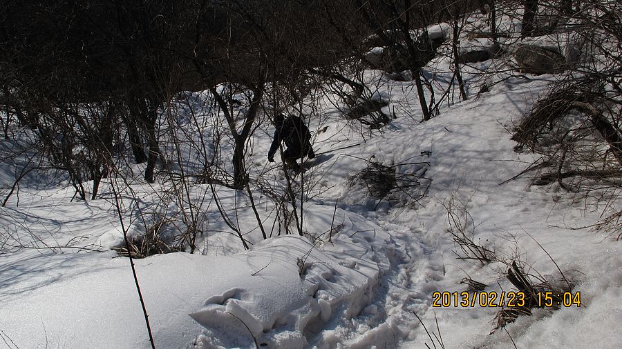 IMG_2794.jpg