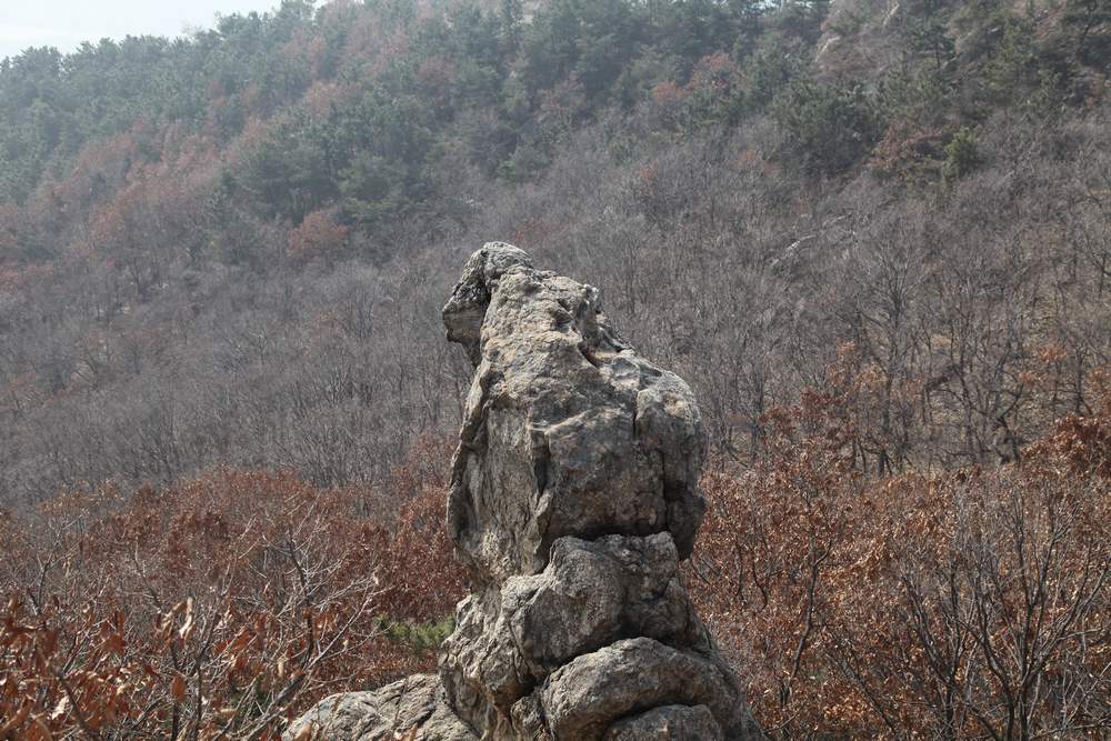 凤凰山 076.jpg