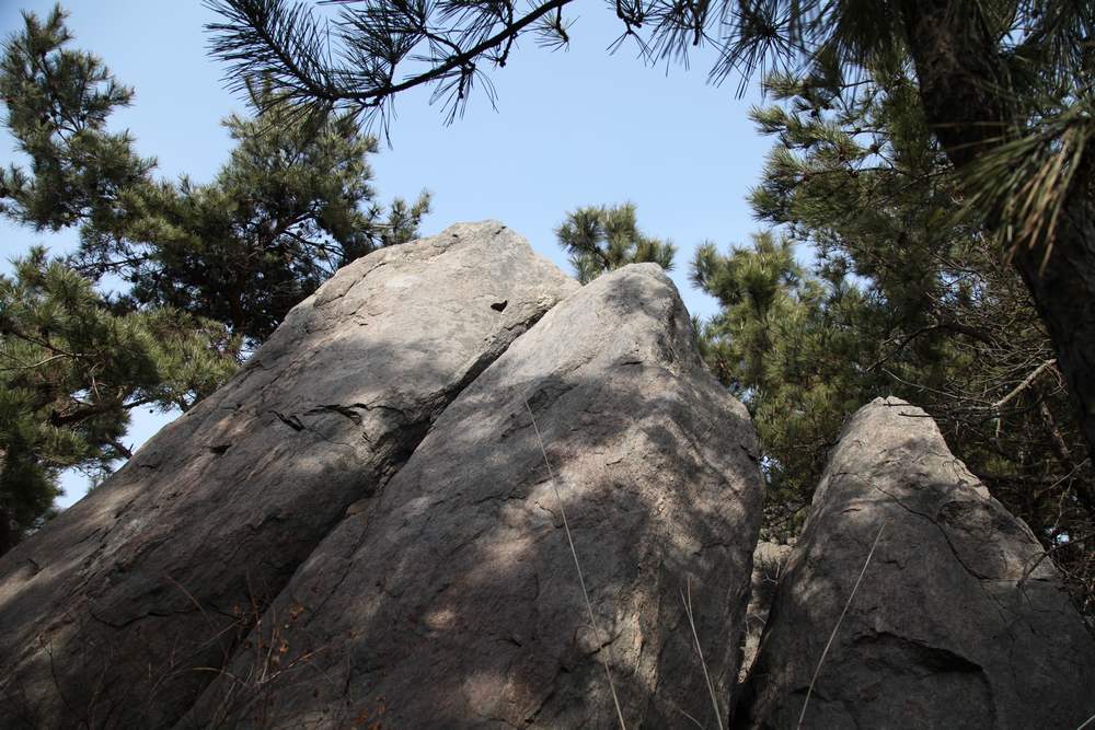 凤凰山 096.jpg